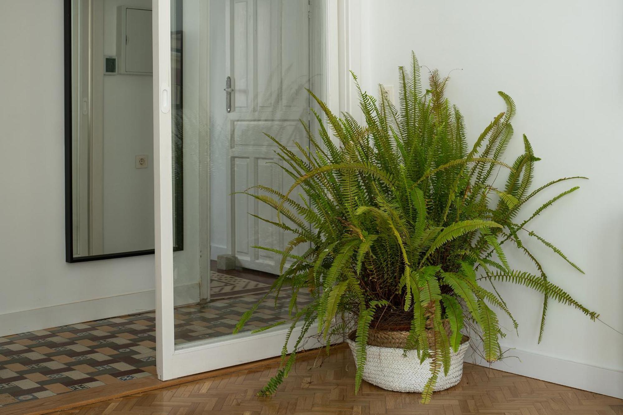 Parking Free, Vintage Haven Apartament Granada